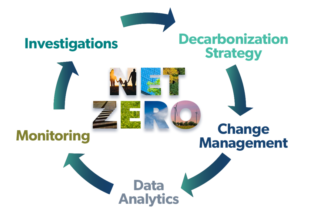 NetZero infographic