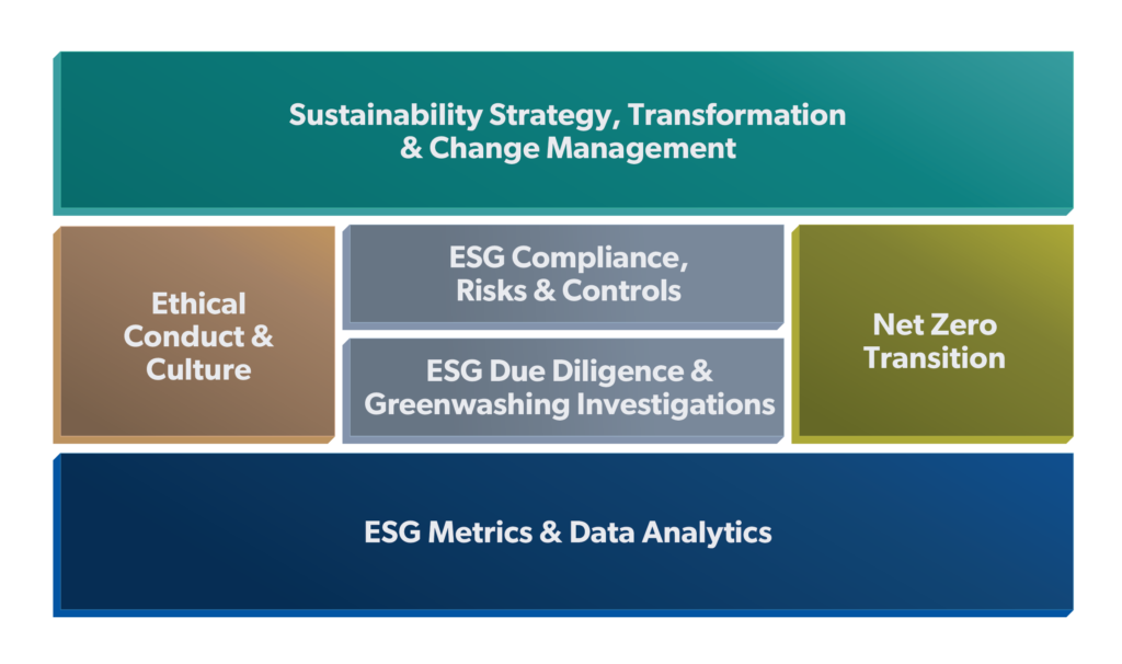 ESG box with sections
