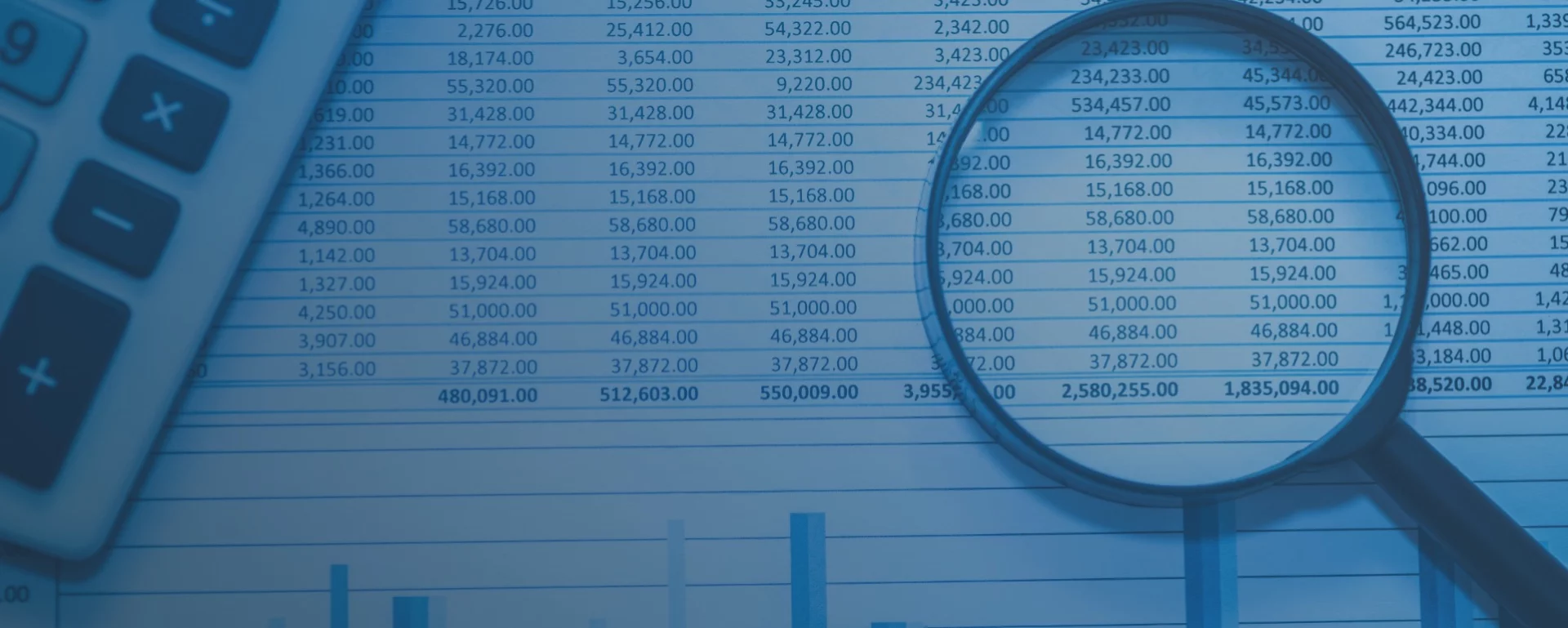 Forensic Accounting Services - StoneTurn