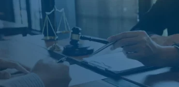 Litigation Support