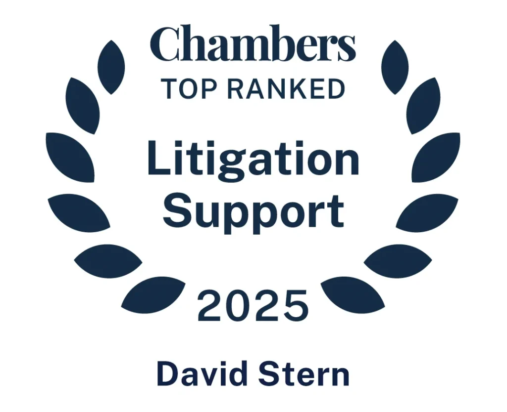 David Stern - Chambers ranked in Litigation Support 2025
