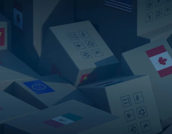 So Your Goods Have Arrived at the Border. What Can Go Wrong?