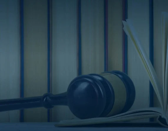EcoFactor And Beyond:  Applications of the Case So Far