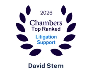 David Stern - Chambers ranked in Litigation Support 2026